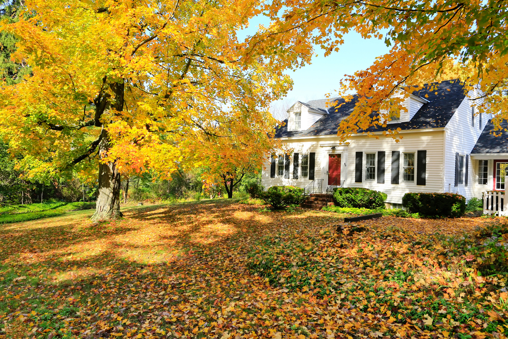 Should I Buy a Home This Fall?